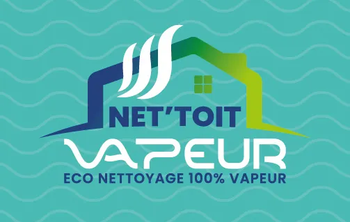 RECTO-CDV-NET-TOIT-VAPEUR-RV-0226-02
